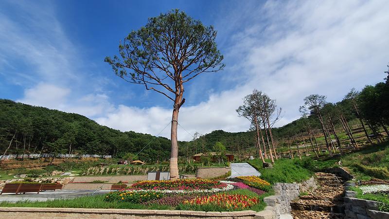 [관광]_화개정원